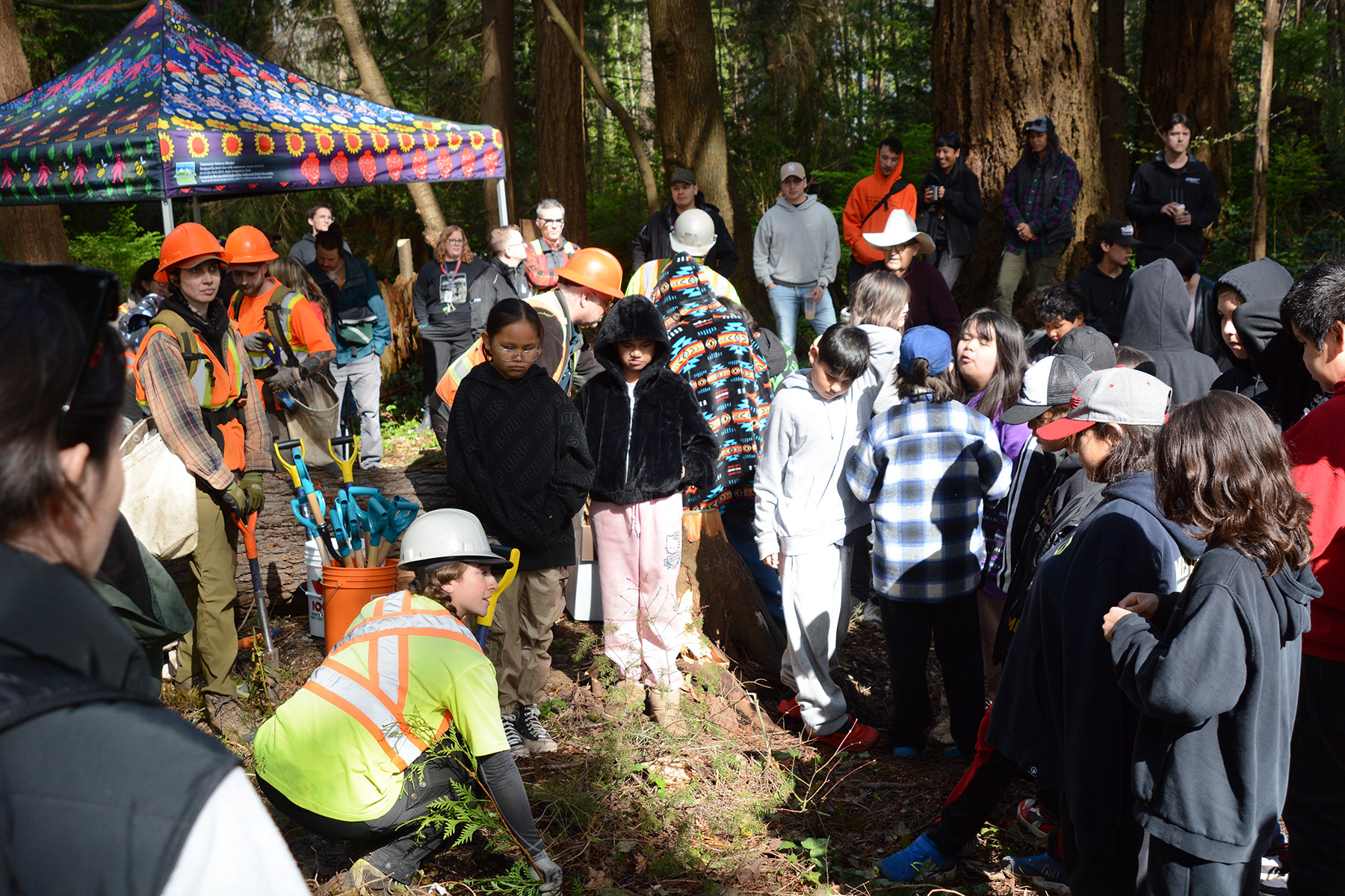 Stanley Park Tree Planting 2025