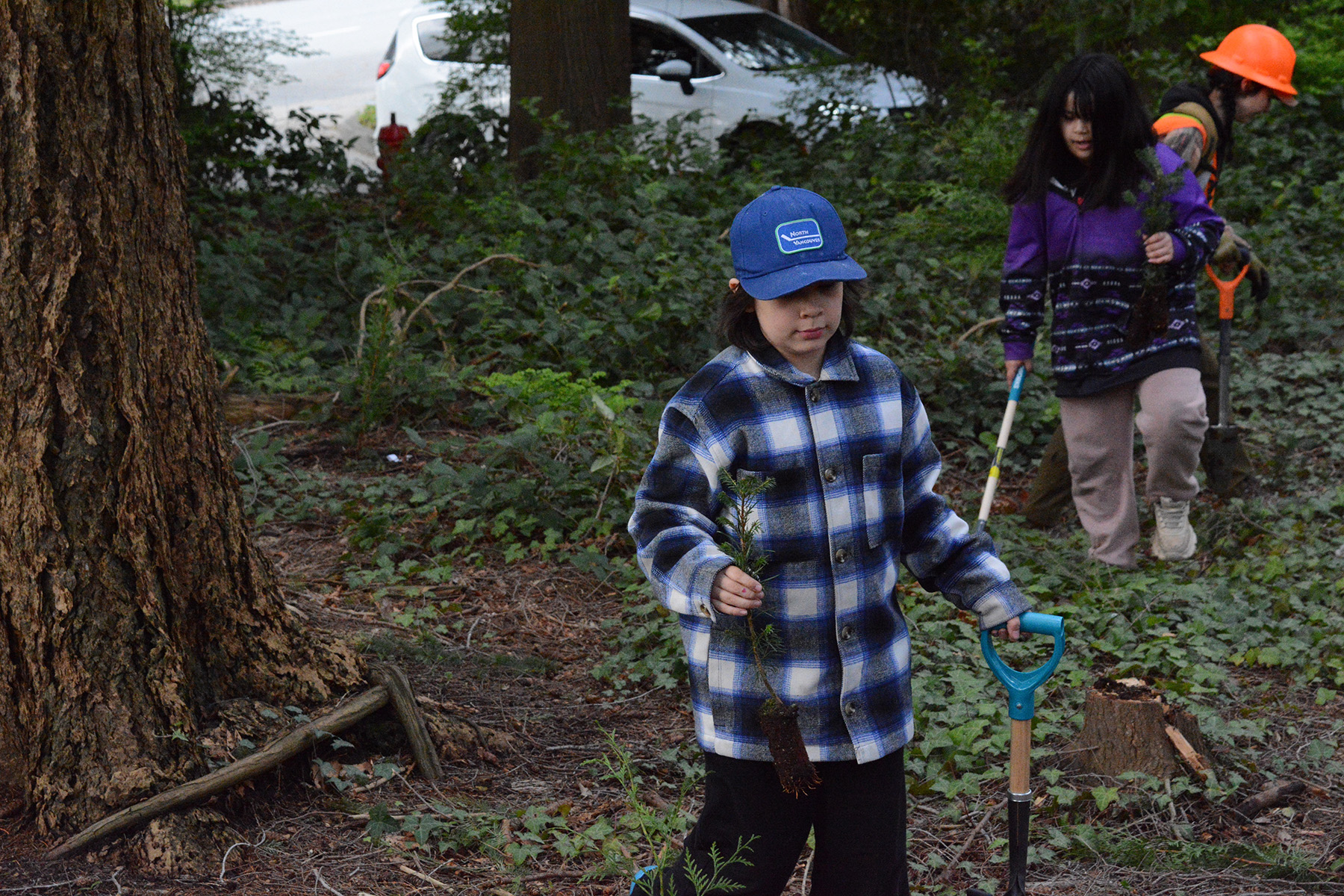 Stanley Park Tree Planting 2025