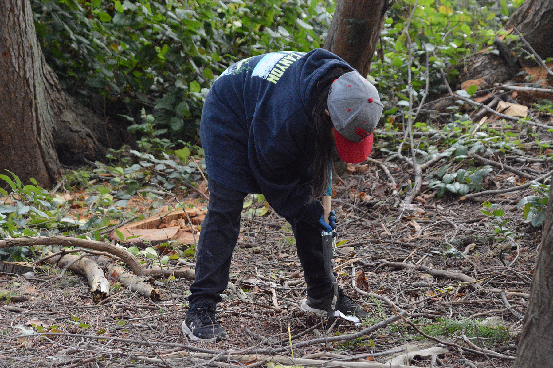 Stanley Park Tree Planting 2025